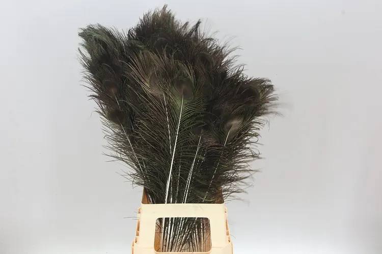Sušený materiál po kusoch (Decoration Dry Per Unit)