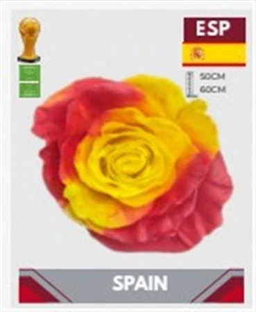 Ruža farbená Fb Spain, Ekvádor 50 cm