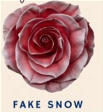 Ruža farbená Fake Snow, Ekvádor 50 cm
