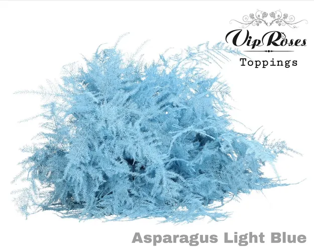 Asp Ov Extra Veren Light Blue 65 cm