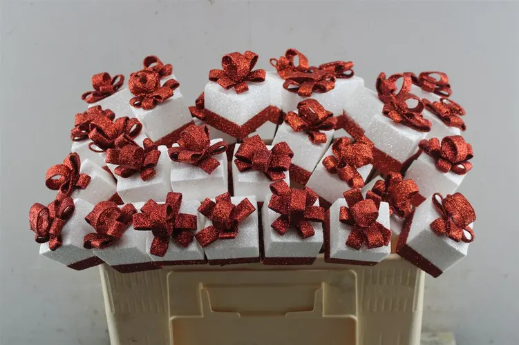 Kado White-red, sušené 45 cm