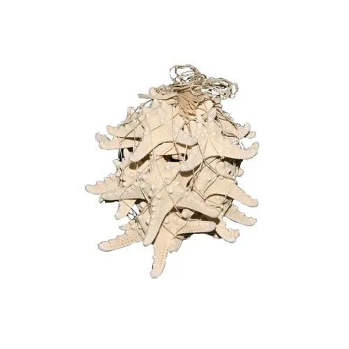 Mušľa Starfish Knobby 12- krémová 15 cm