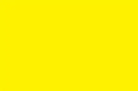 Rosa Tr Yellow 60 cm