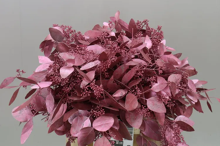 Eukalyptus Populus Berries Rose Gold 50 cm
