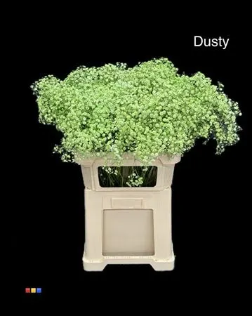 Gyps Xlence Dusty Green 80 cm