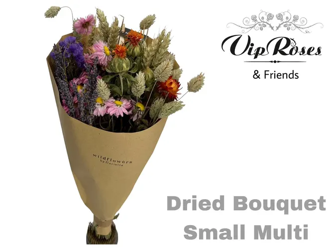 Bouquet Small Multi X12, sušené 35 cm