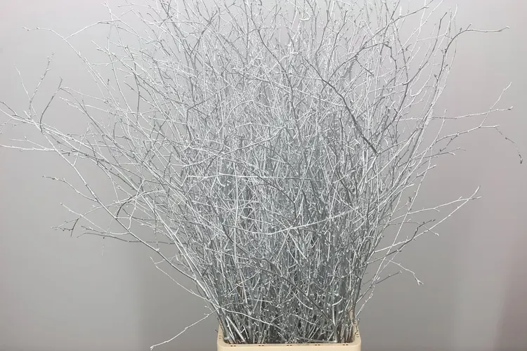 Berk Silver Glitter 120 cm