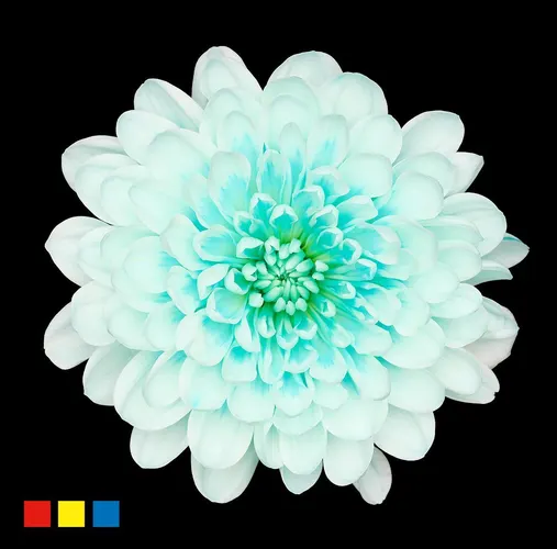 Chr T Altaj Pastel Mint 70 cm
