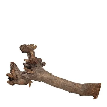Sušený materiál Kuwa root hnedá 40 cm