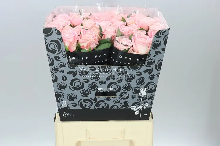 Rosa Gr Big Baby 70 cm