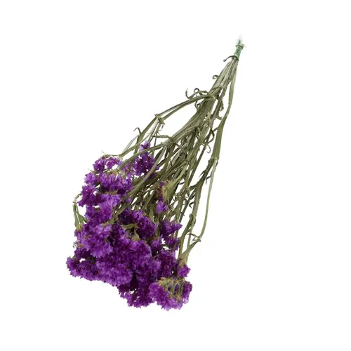 Sušený kvet Limonium statice fialová 70 cm