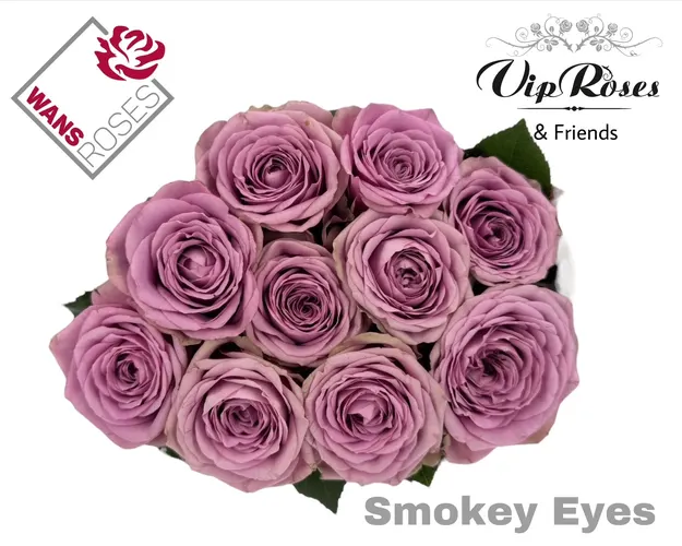 R Gr Smokey Eyes 60 cm