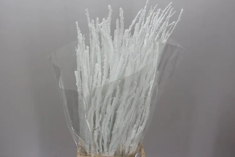 Berk Snow 120 cm