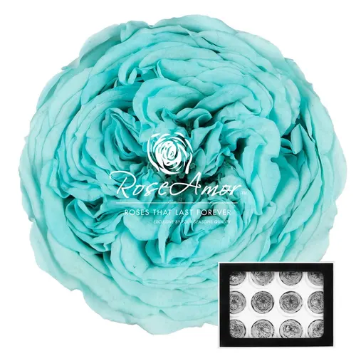 Stabilizovaná ruža Amelia ⌀ 4 cm, modrá BLU02