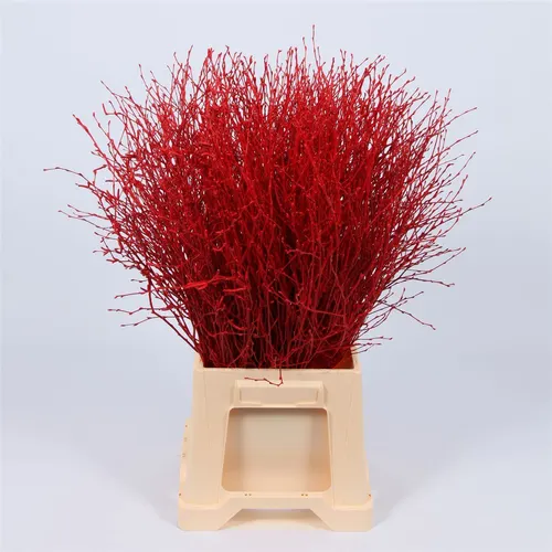 Berk Red Glitter 120 cm