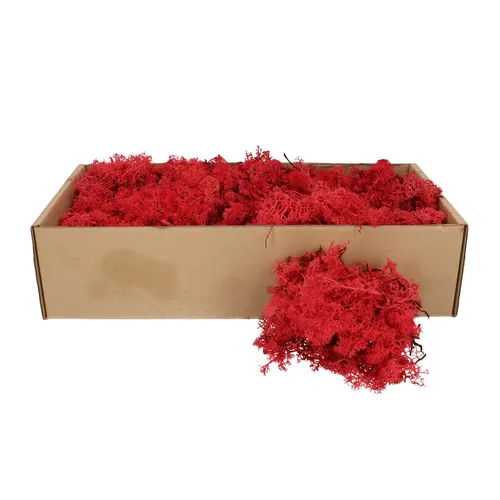 Stabilizovaný sobí mach, červený, 400 až 500 g