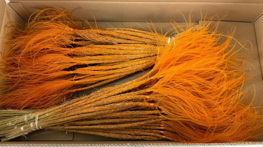 Stypha Orange 60 cm