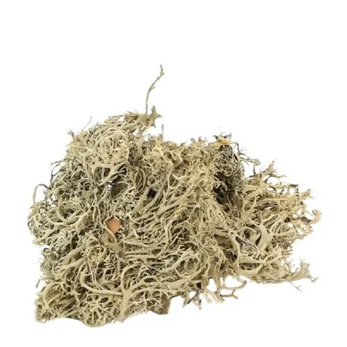 Sušený materiál Mos Lychen hnedá 500 g