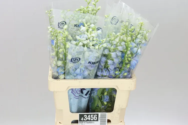Delph El Fountain Sky Blue 60 cm