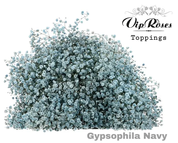 Gyps Pa Navy 80 cm