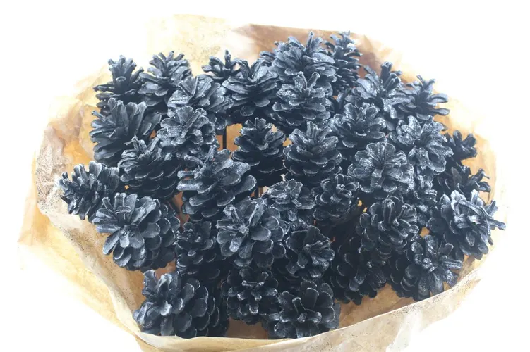Pine Cone Black Glitter, sušené 50 cm