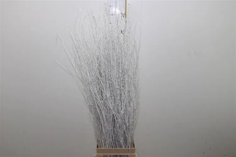 Berk White Glitter 120 cm