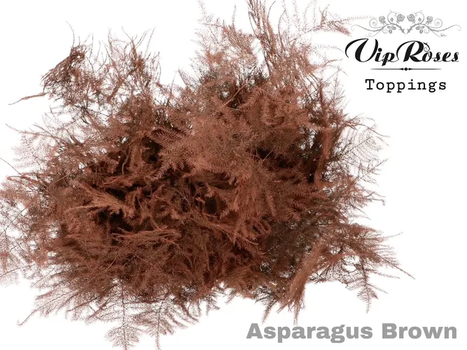 Asp Ov Extra Veren Bruin 65 cm