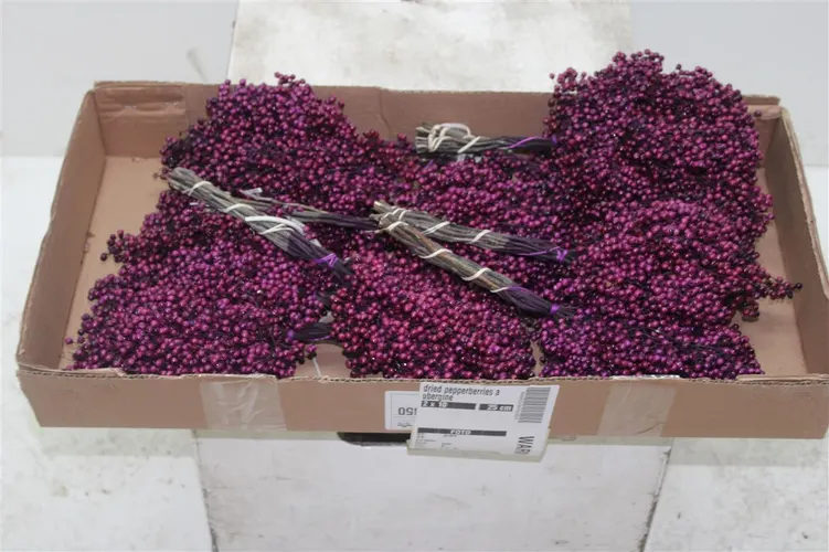 Pepperberries Aubergine, sušené