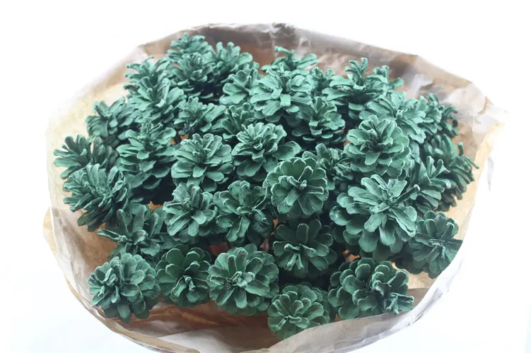 Denn Green, sušené 50 cm
