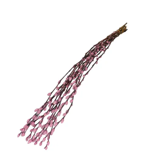 Sušený kvet Willow catkins orgovánová 70 cm