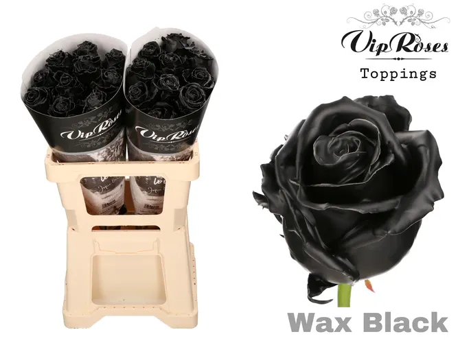 R Gr Wax Black (60cm) 60 cm