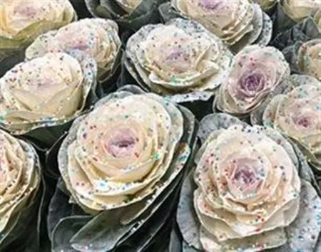 Brassica Painted Candy Glitter 60 cm