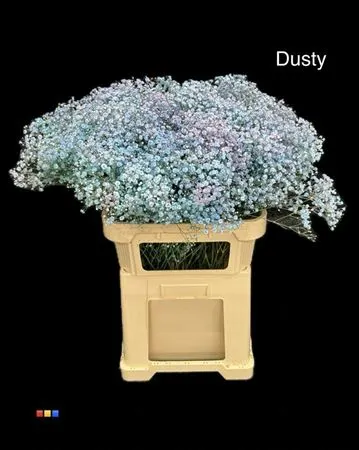 Gyps Xlence Dusty Bubblegum 80 cm