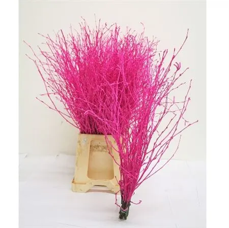 Berk Cerise Glitter 120 cm