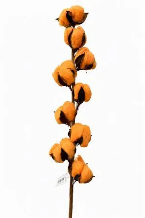 Cotton Dyed 9 Balls Orange 60 cm