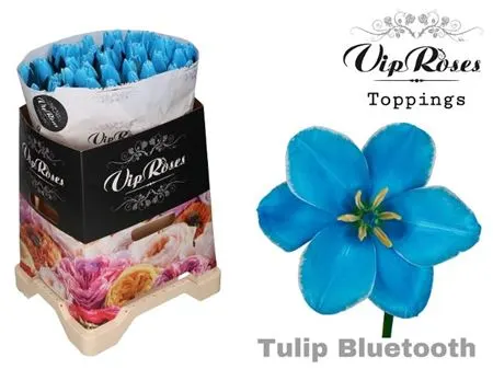 Tulipa Vip En Bluetooth