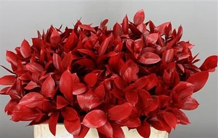 Ruskus farbený Red + Glitter 60 cm