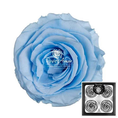 Pres. Bellisima Blu89