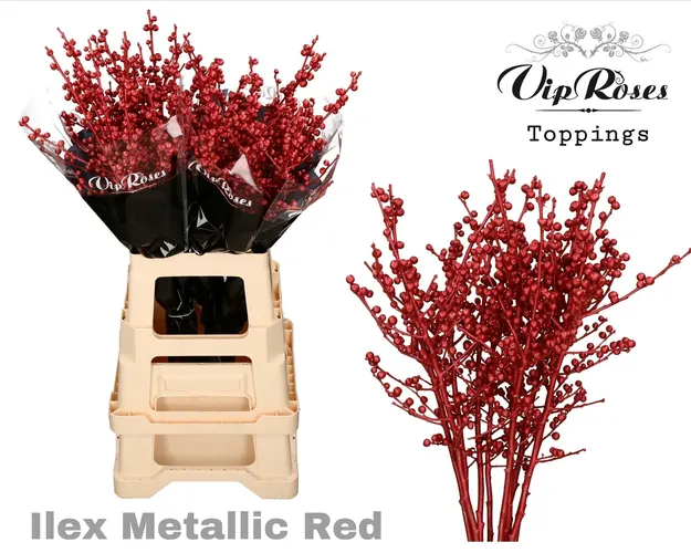 Ilex Metallic Red 70 Cm 70 cm