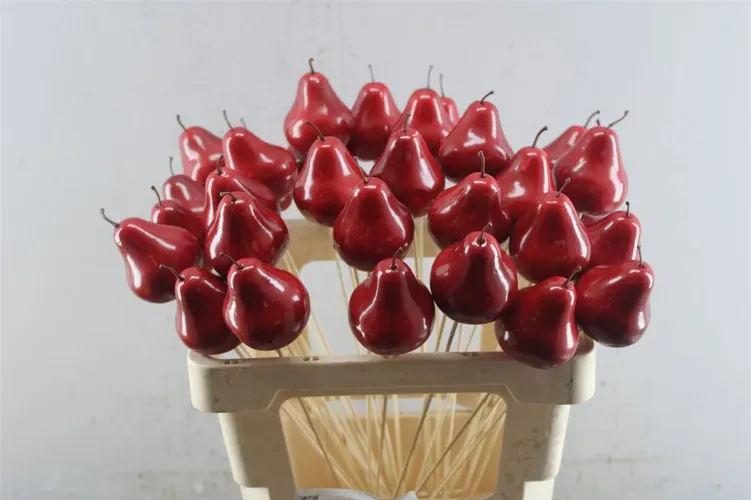 Pear Red, sušené 50 cm