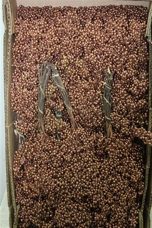 Pepperberries Copper, sušené