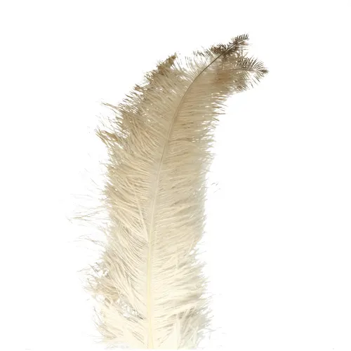 Perie Ostrich krémová 55 cm