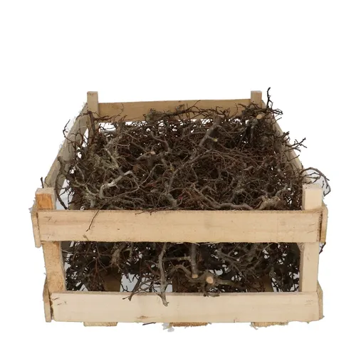 Sušený materiál Bonsai vetvy hnedá