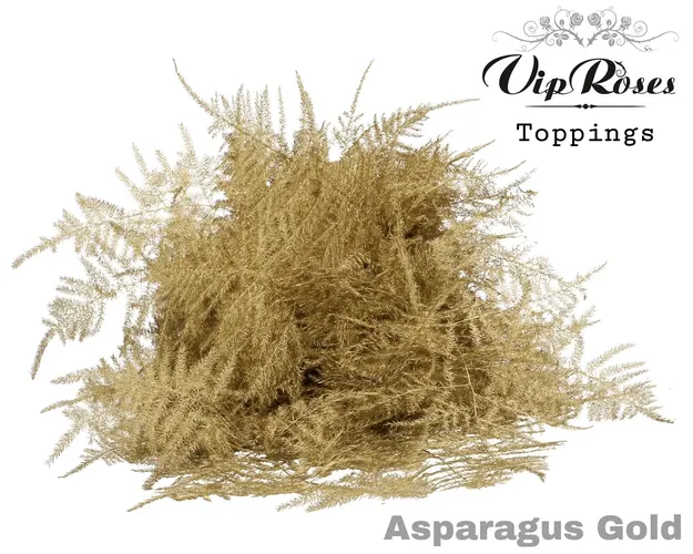 Asparágus Ov 1e Veren Gold 45 cm