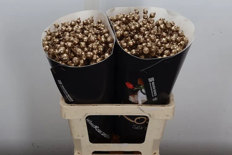 Rosa Bottel Wx Goud 60 cm