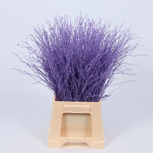 Berk Purple 120 cm