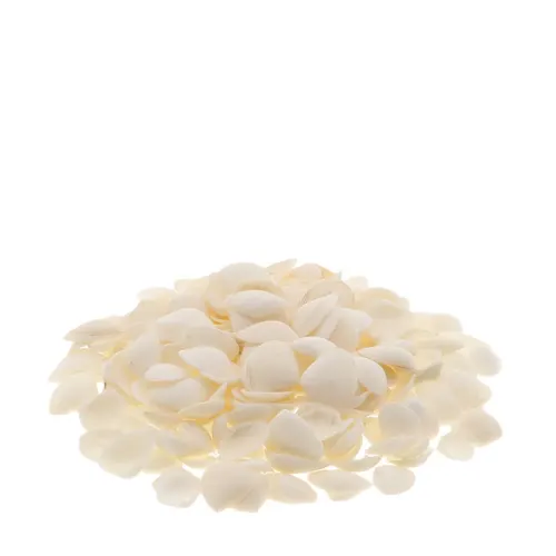 Mušľa Caycay biela 1 kg