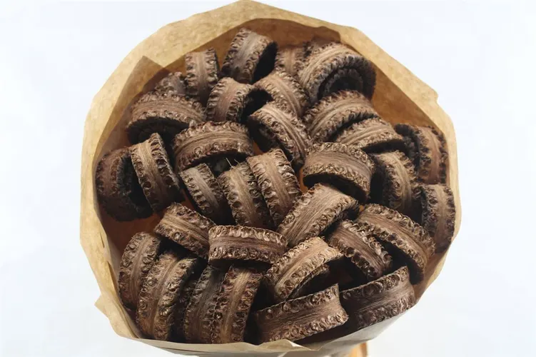 Oortje (palmring) X40, sušené 50 cm