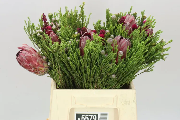 Bq 3 Flower Protea Tinted 40 cm