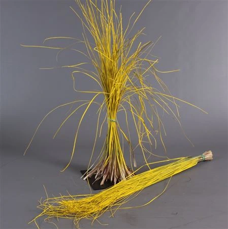 Beregras Yellow 60 cm